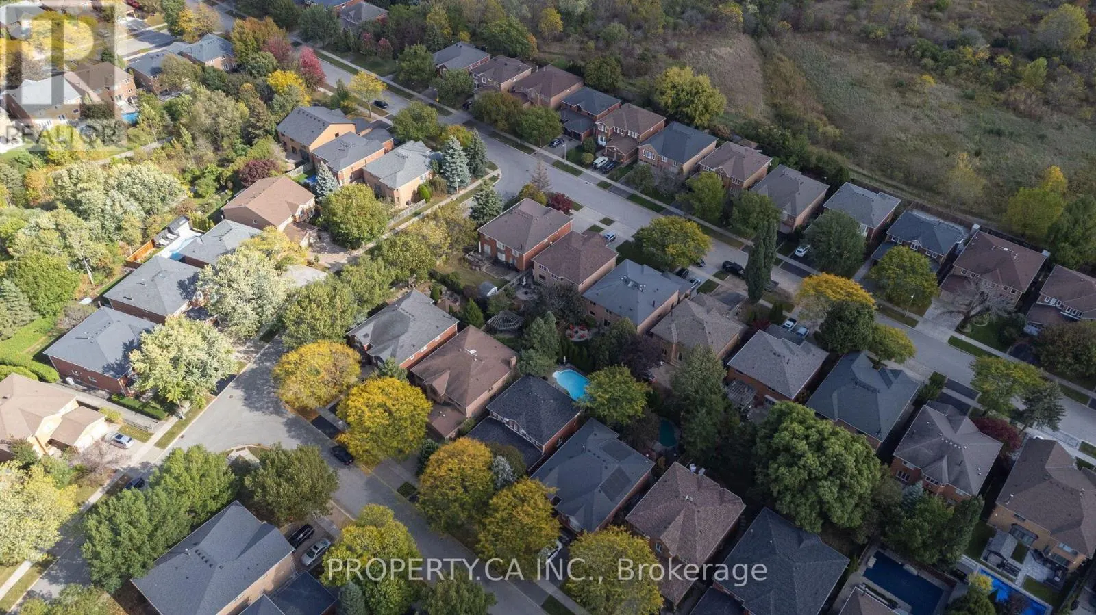 2124 LANGTRY DRIVE