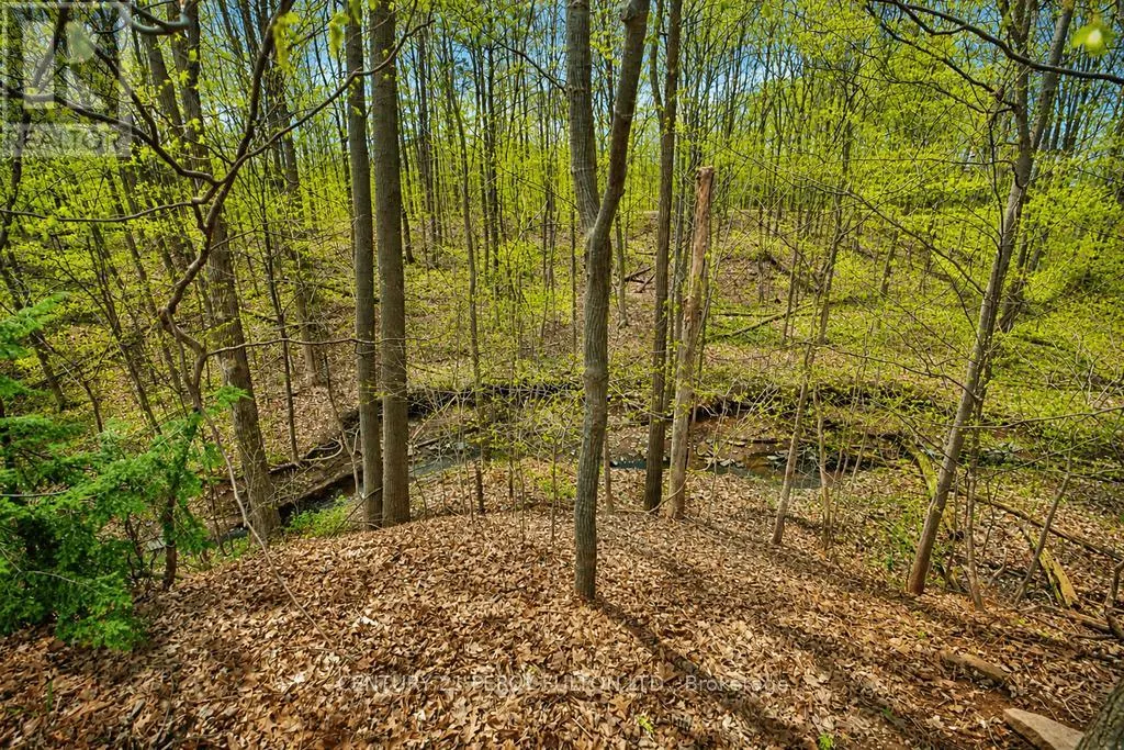 1386 FOREST GLADE ROAD