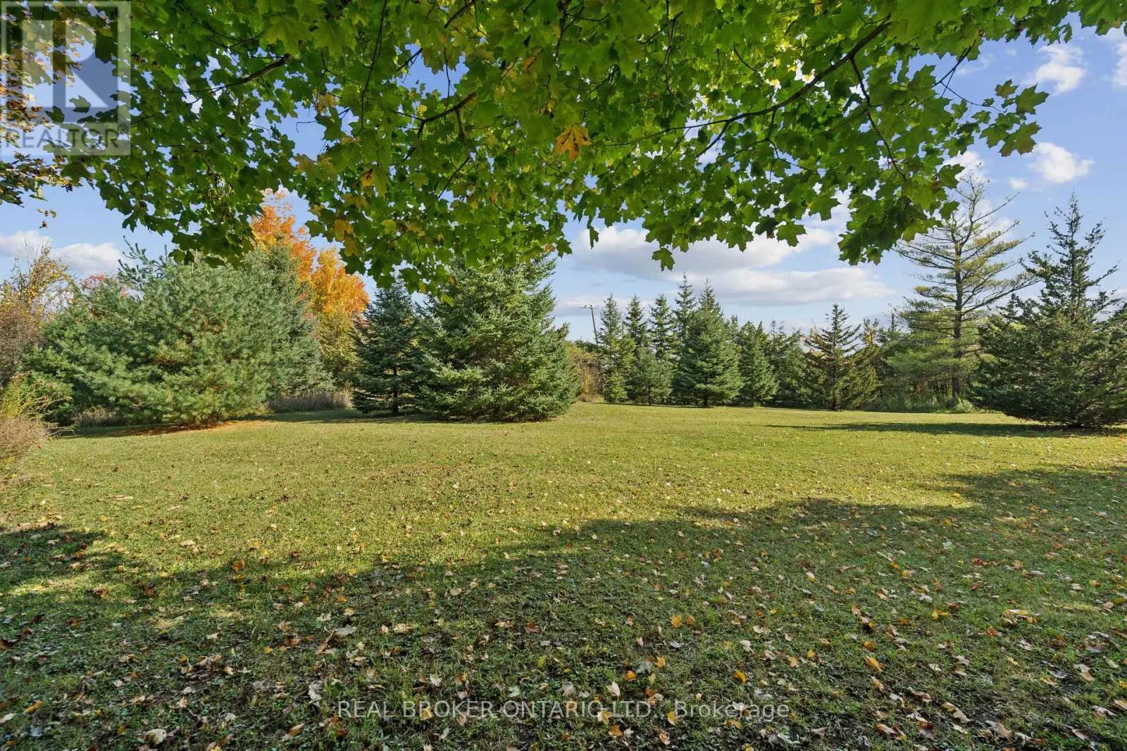 5649 25 SIDE ROAD