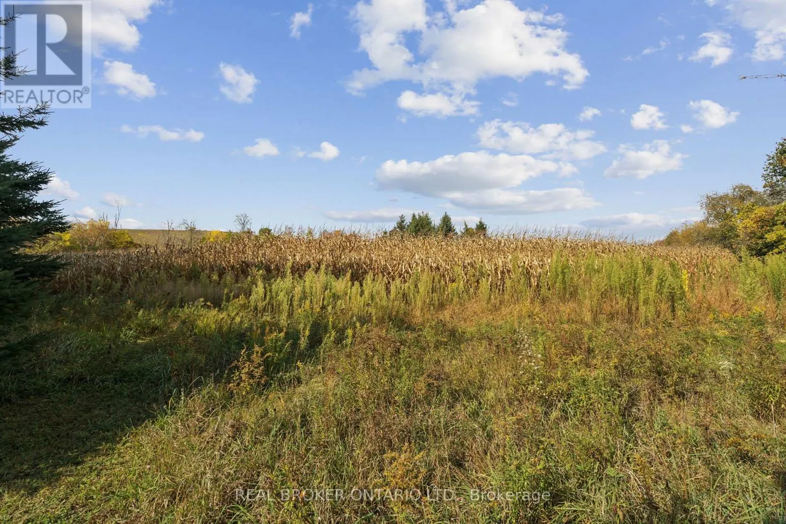5649 25 SIDE ROAD
