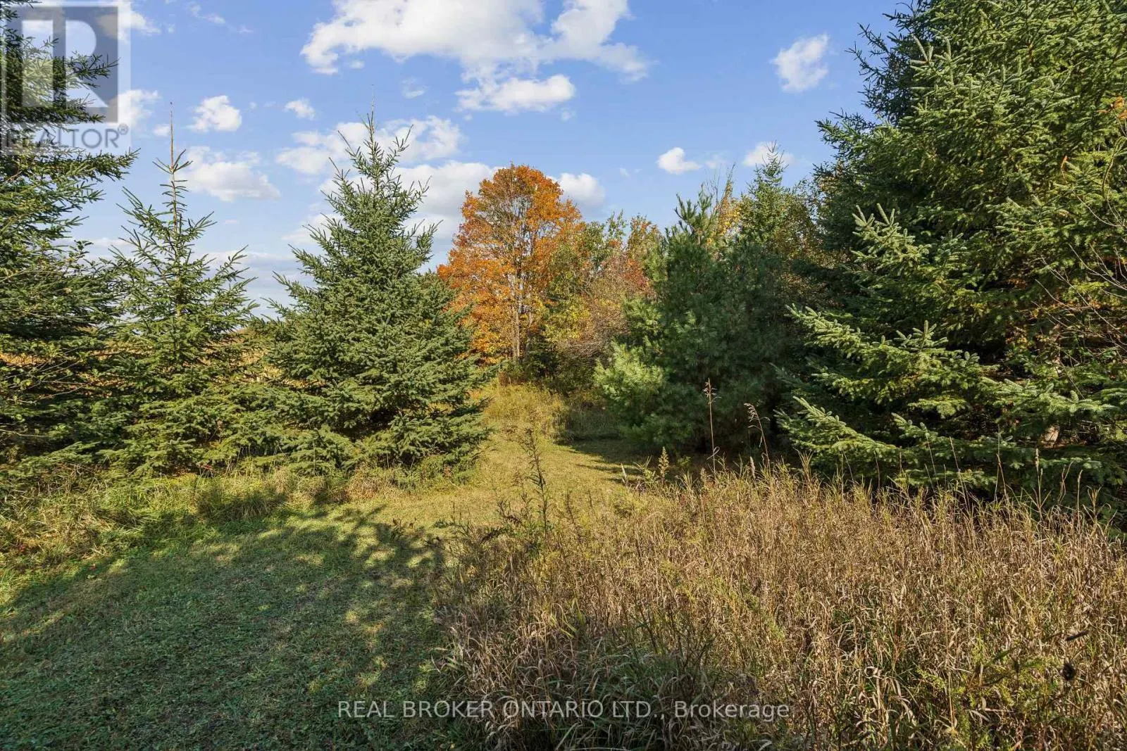 5649 25 SIDE ROAD
