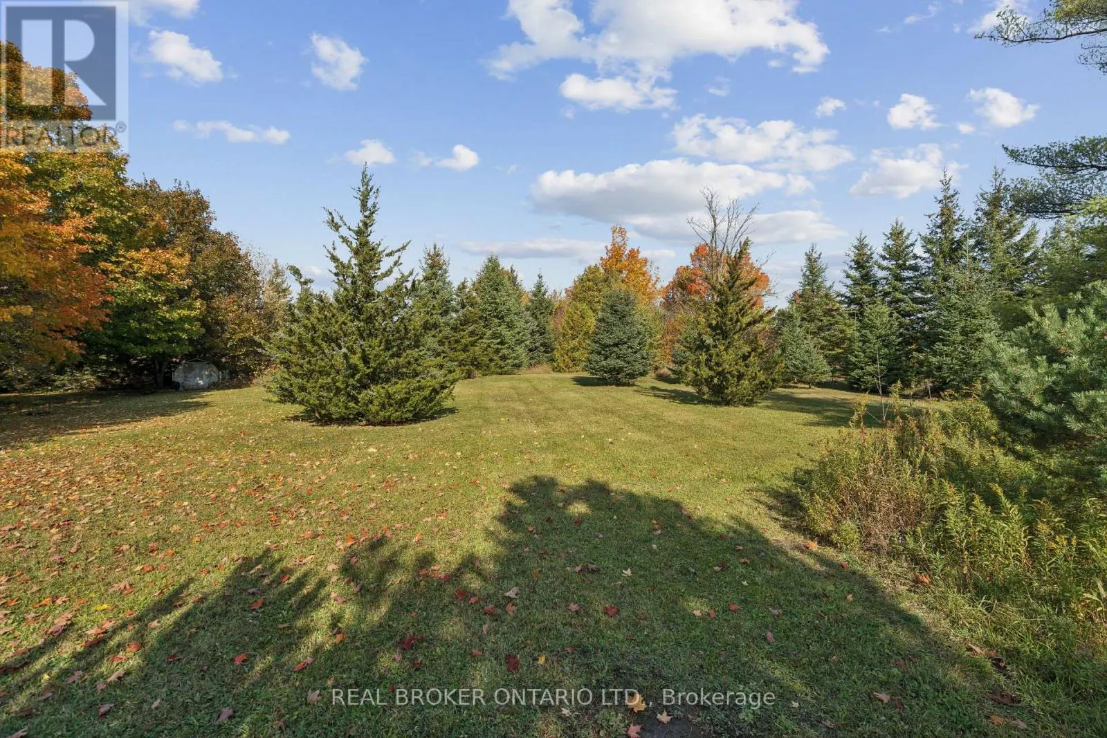 5649 25 SIDE ROAD