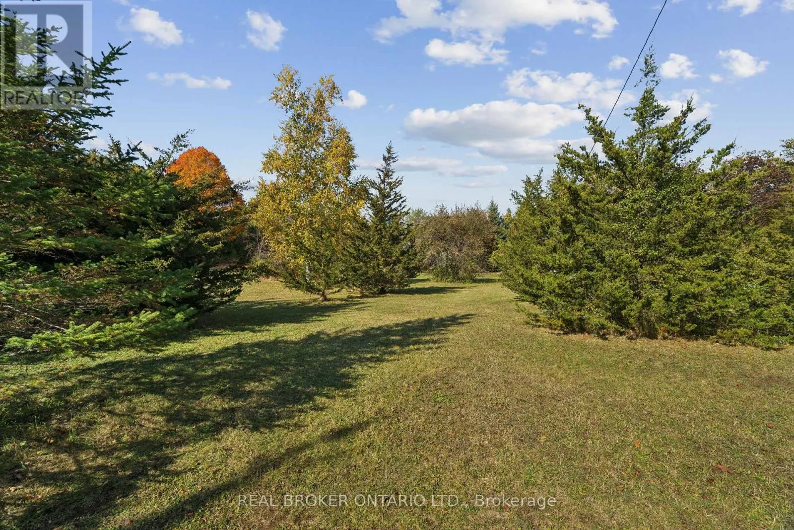 5649 25 SIDE ROAD