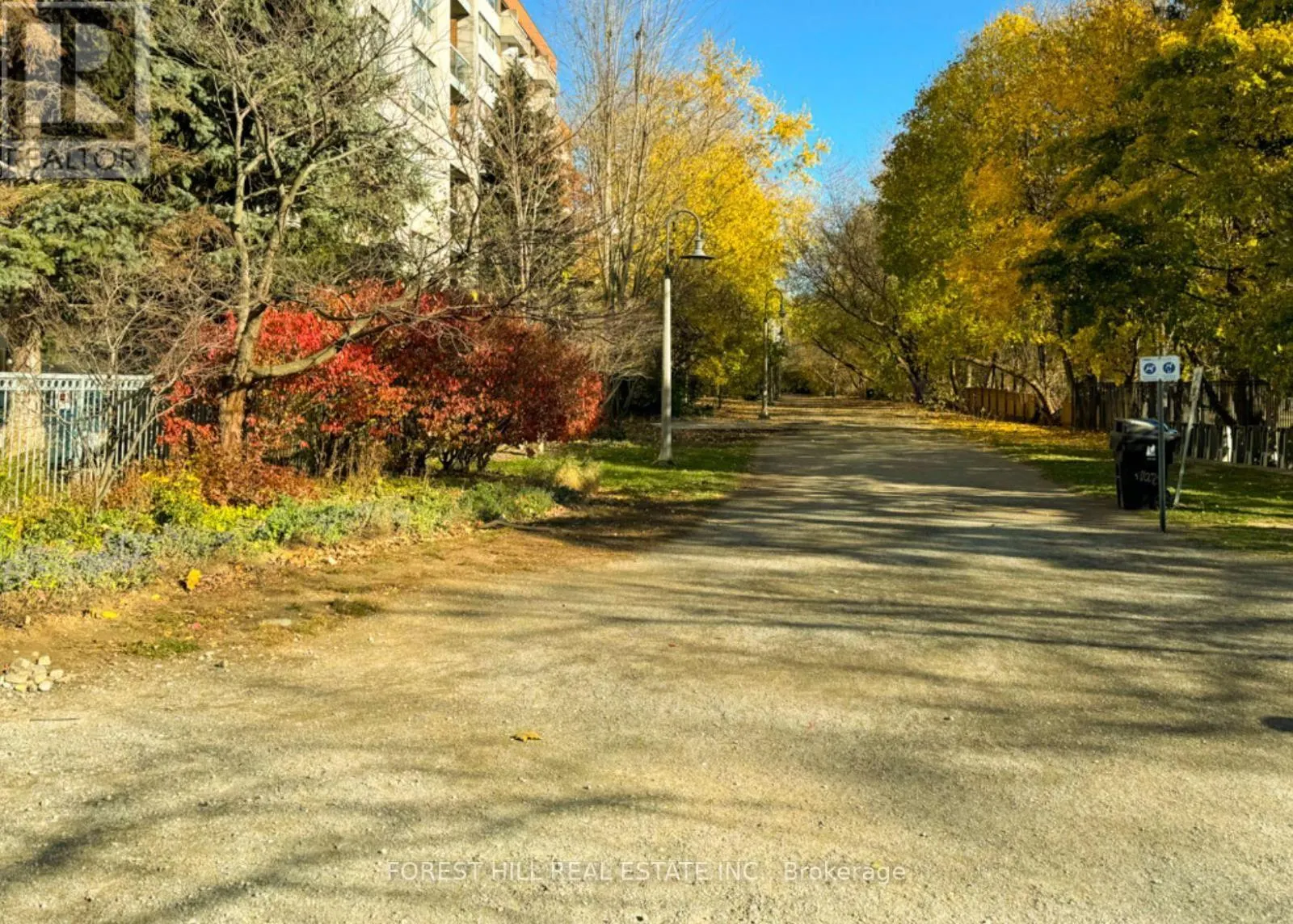 LOWER - 166 SCHELL AVENUE
