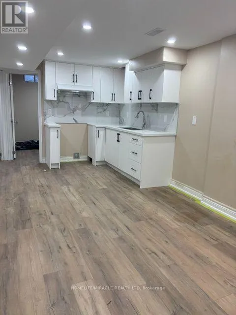 BASEMENT - 166 SUGARHILL DRIVE