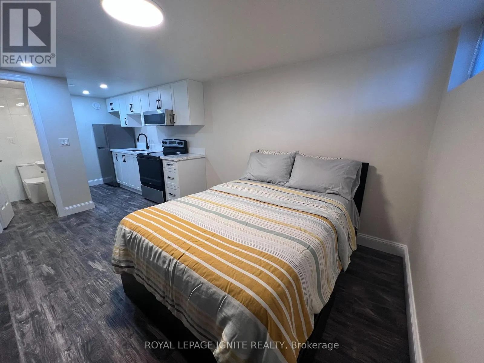 BASEMENT - 208 ROSEMOUNT AVENUE
