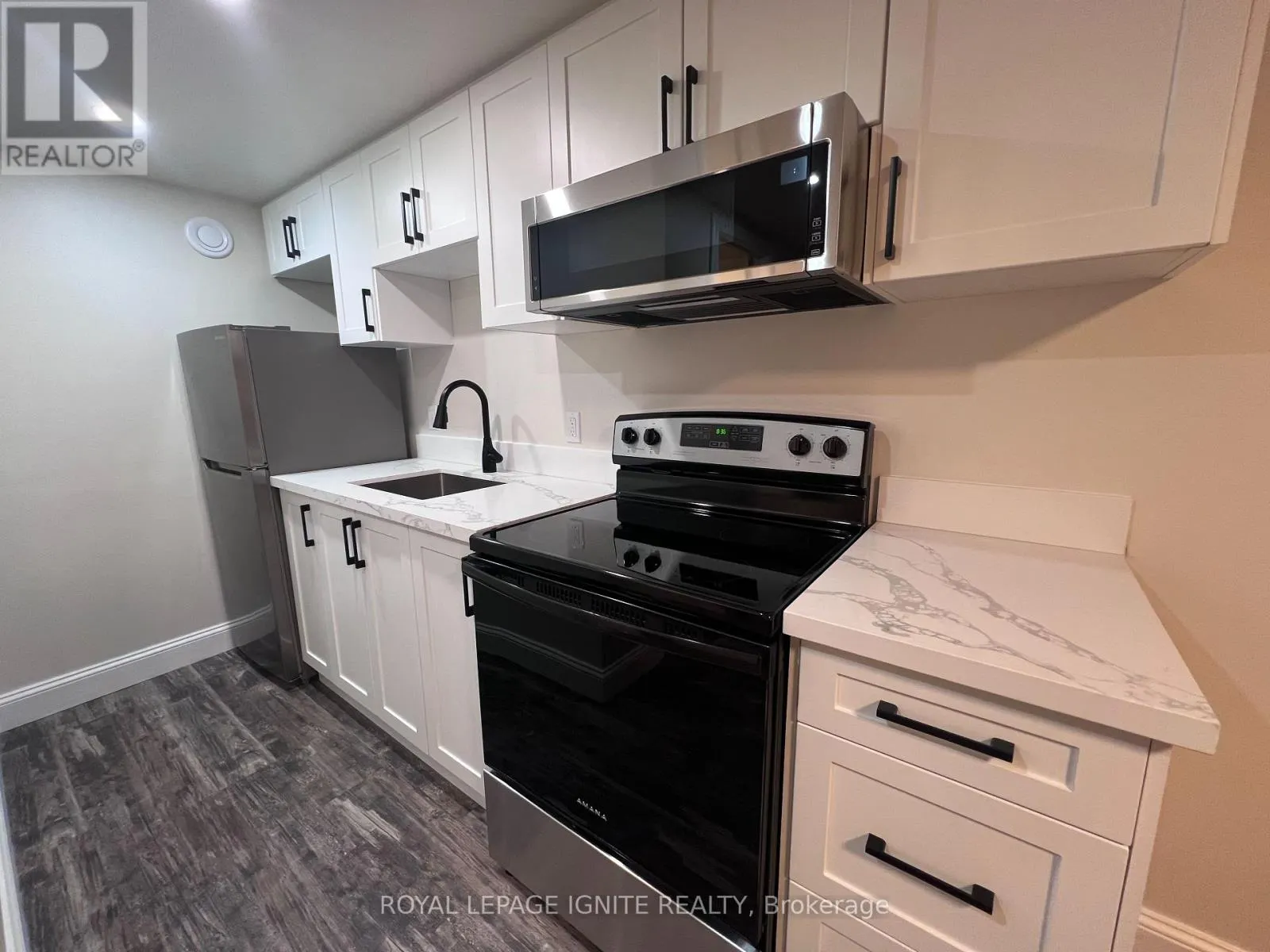BASEMENT - 208 ROSEMOUNT AVENUE