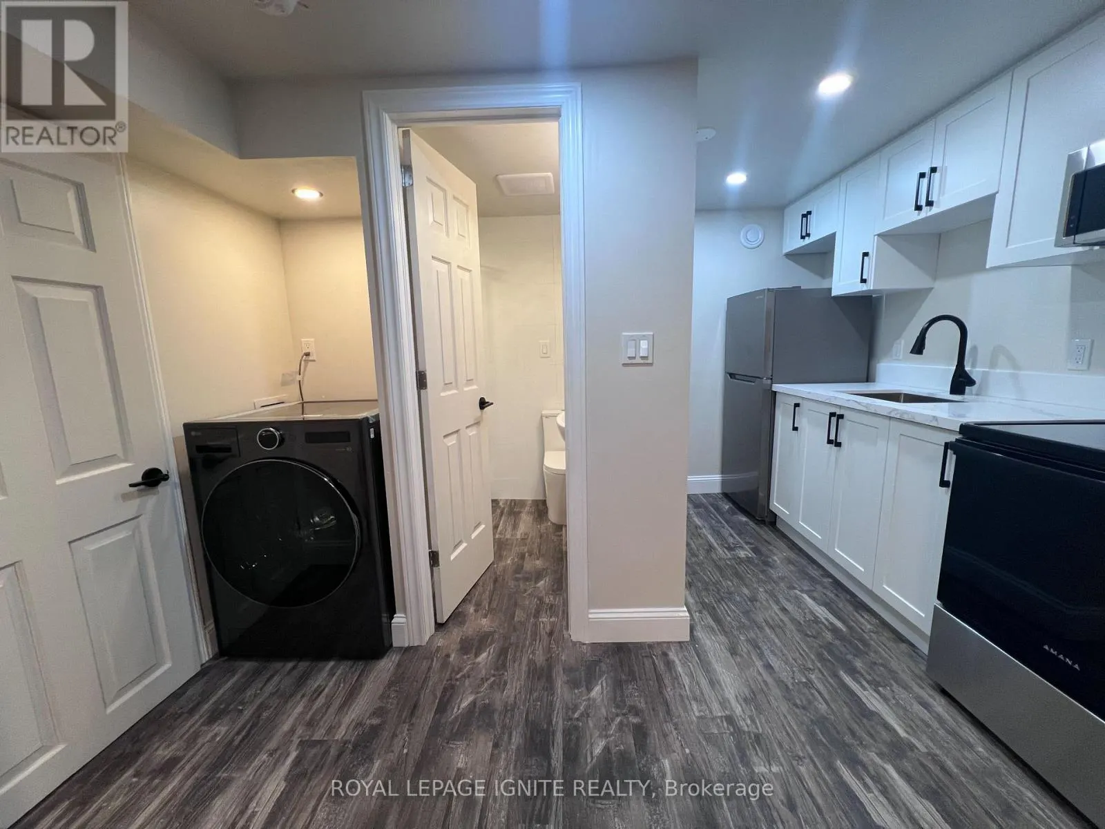 BASEMENT - 208 ROSEMOUNT AVENUE