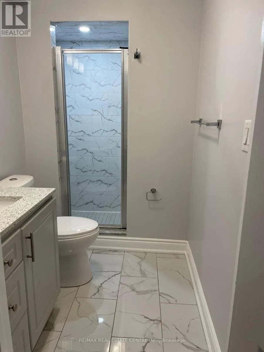 (BASEMENT) - 1474 PATE COURT