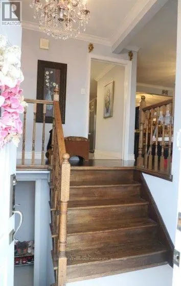 54 PETIOLE ROAD