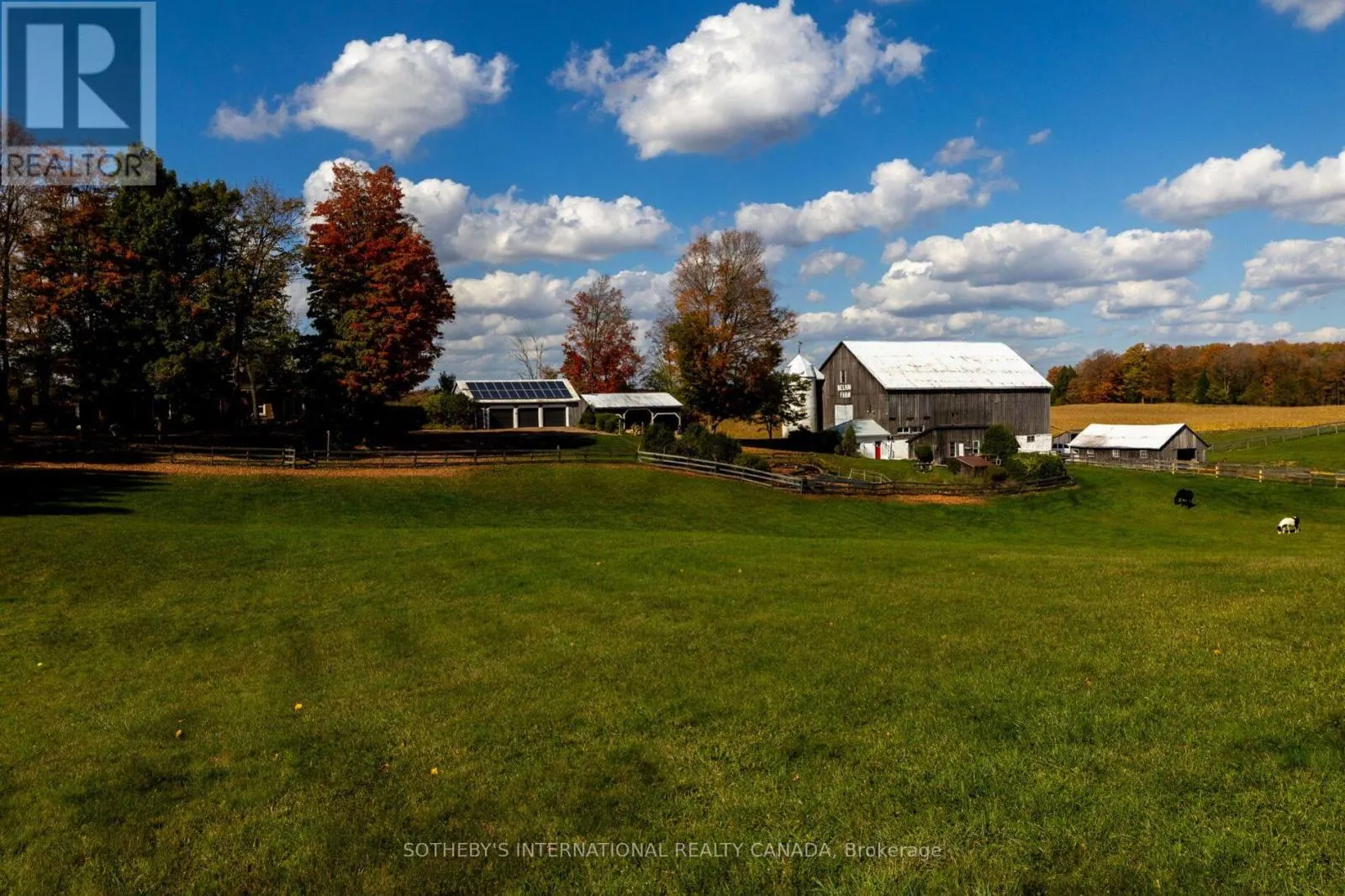 18101 SHAWS CREEK ROAD