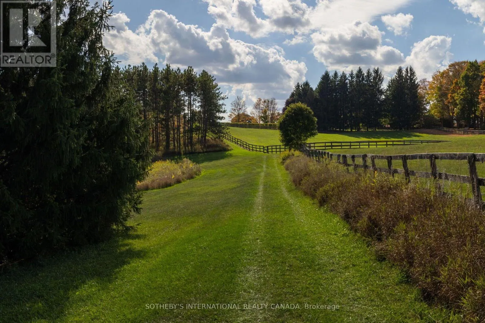 18101 SHAWS CREEK ROAD