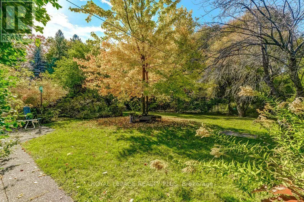 1538 LORNE WOOD ROAD
