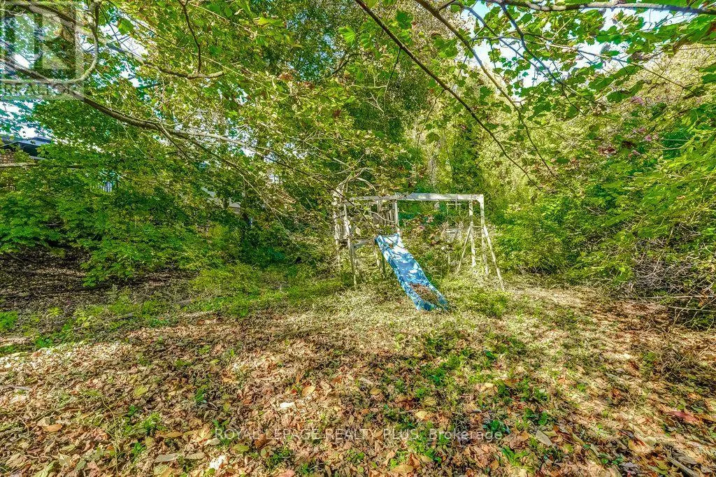 1538 LORNE WOOD ROAD