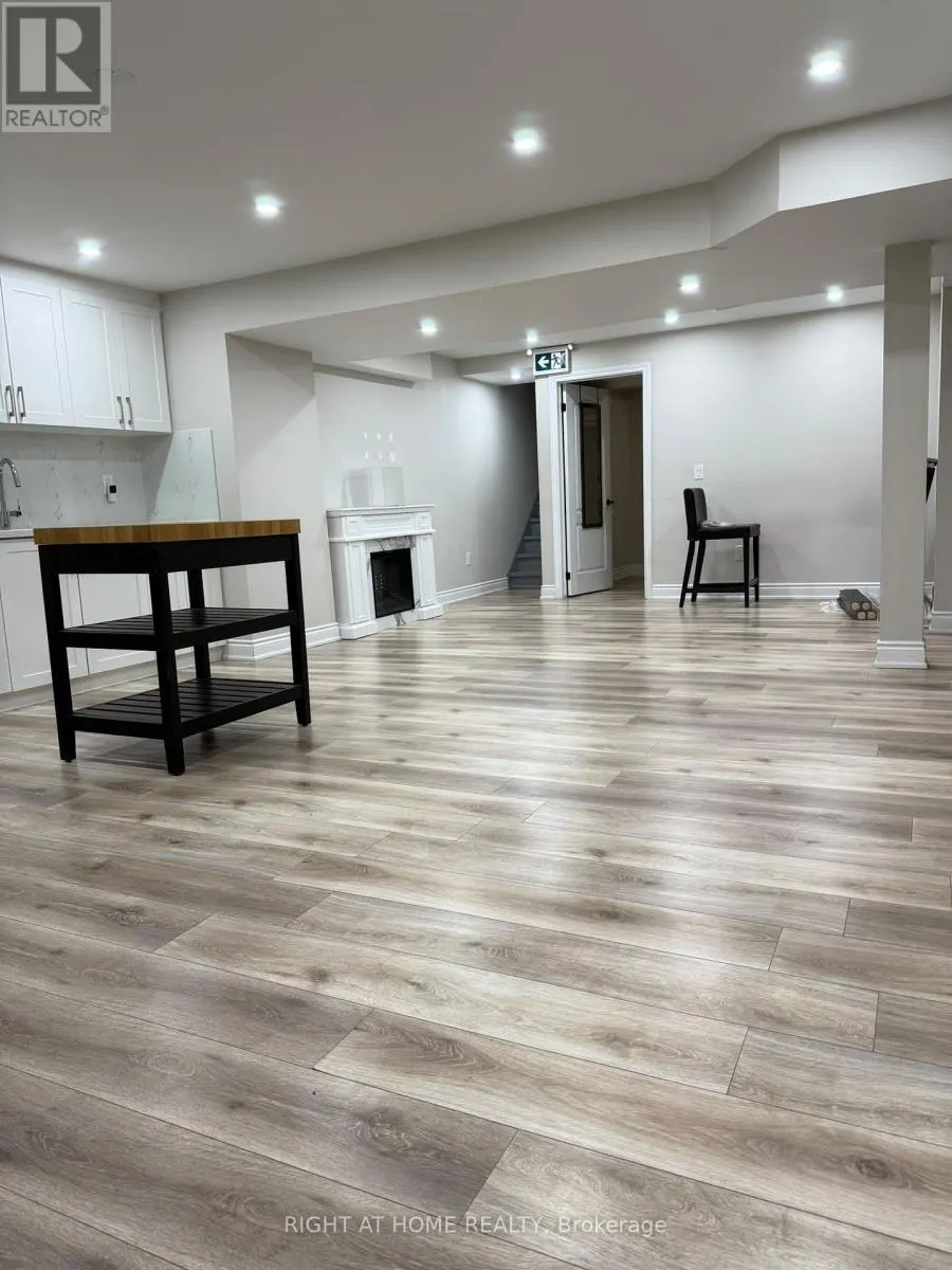 BASEMENT - 44 ELYSIAN FIELDS CIRCLE