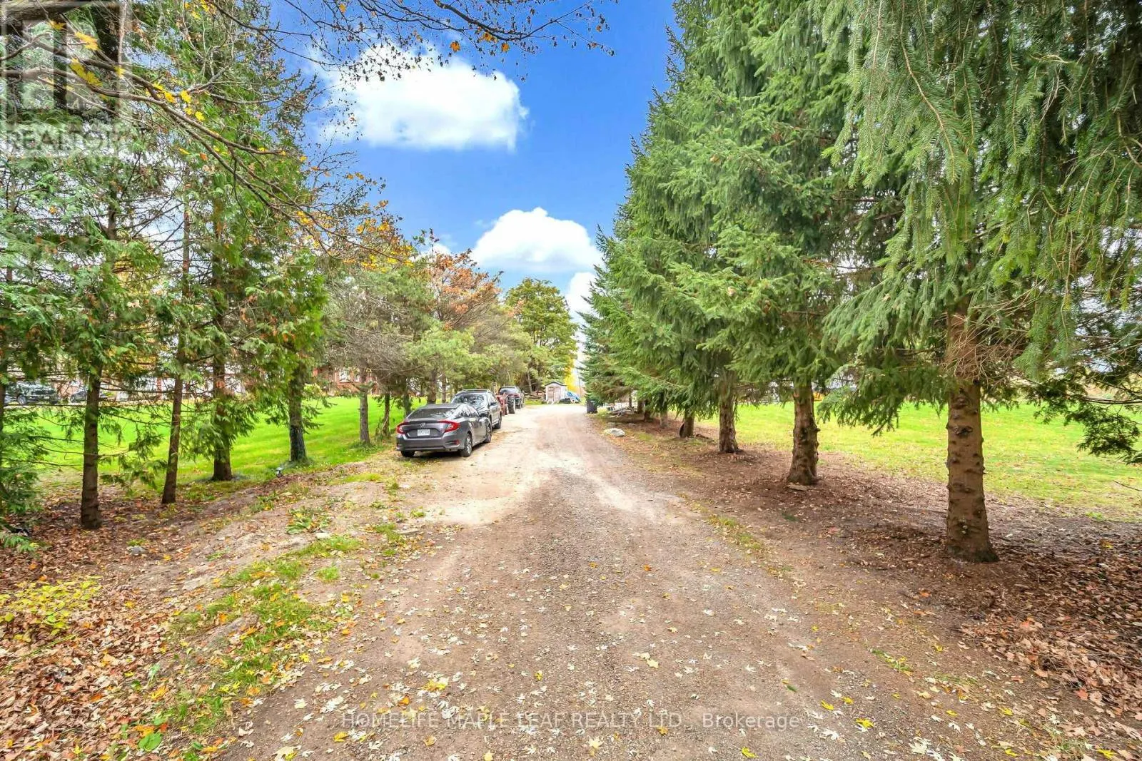 19977 KENNEDY ROAD
