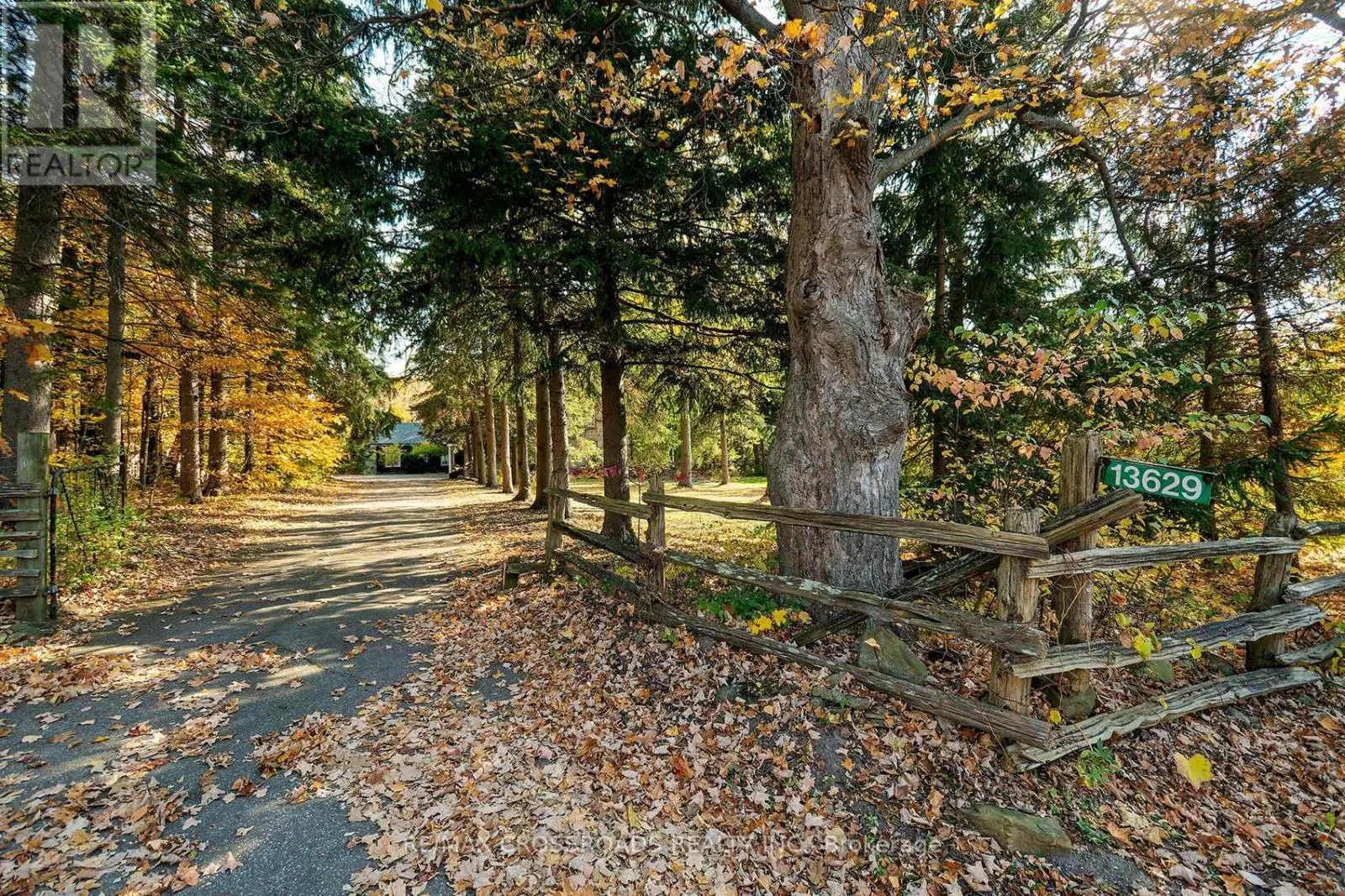 13629 FALLBROOK TRAIL