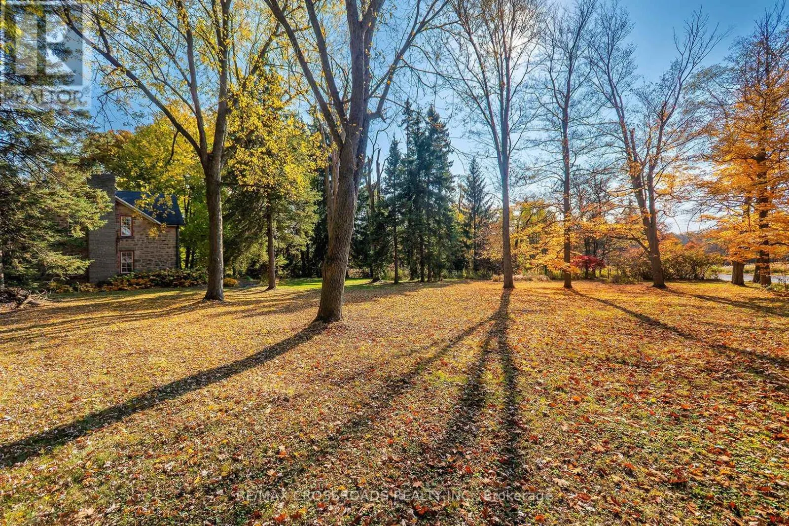 13629 FALLBROOK TRAIL
