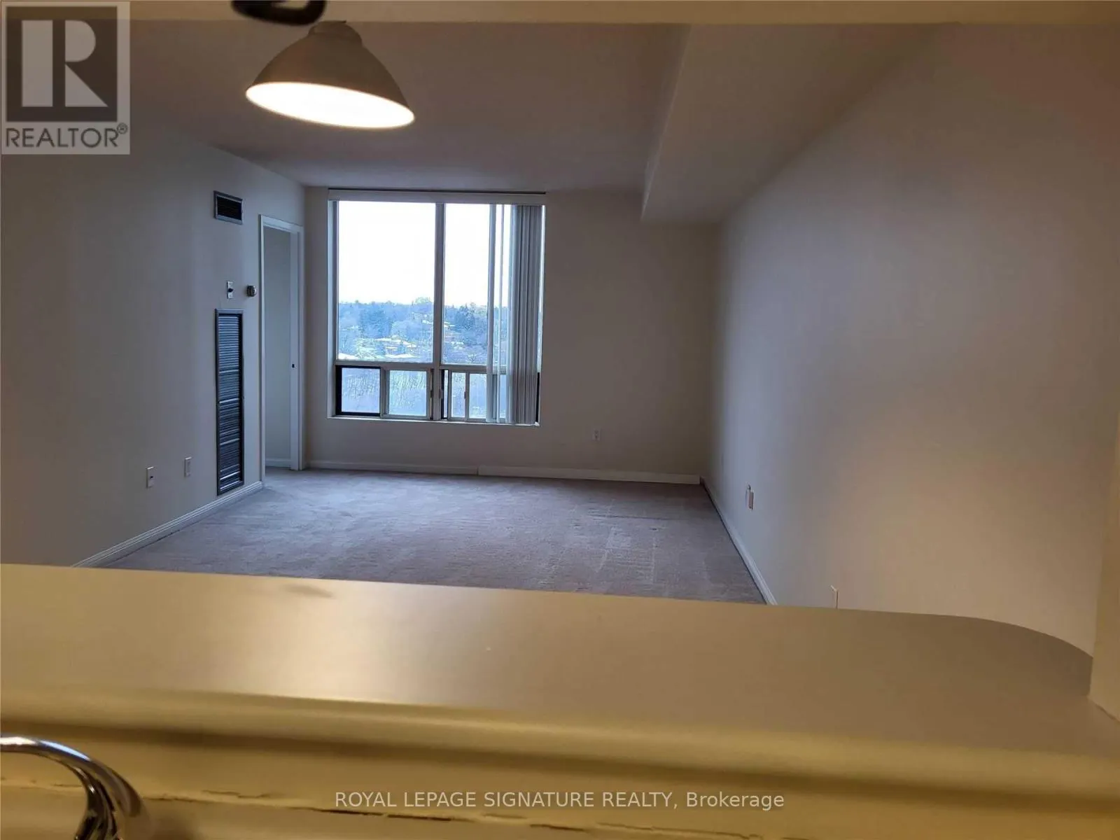 1207 - 1 HICKORY TREE ROAD