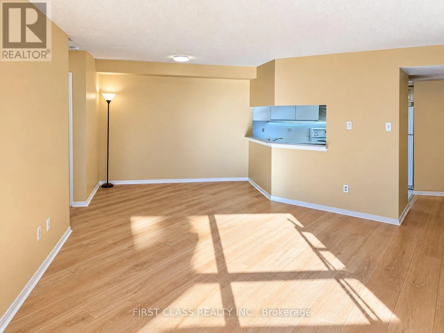 913 - 250 WEBB DRIVE