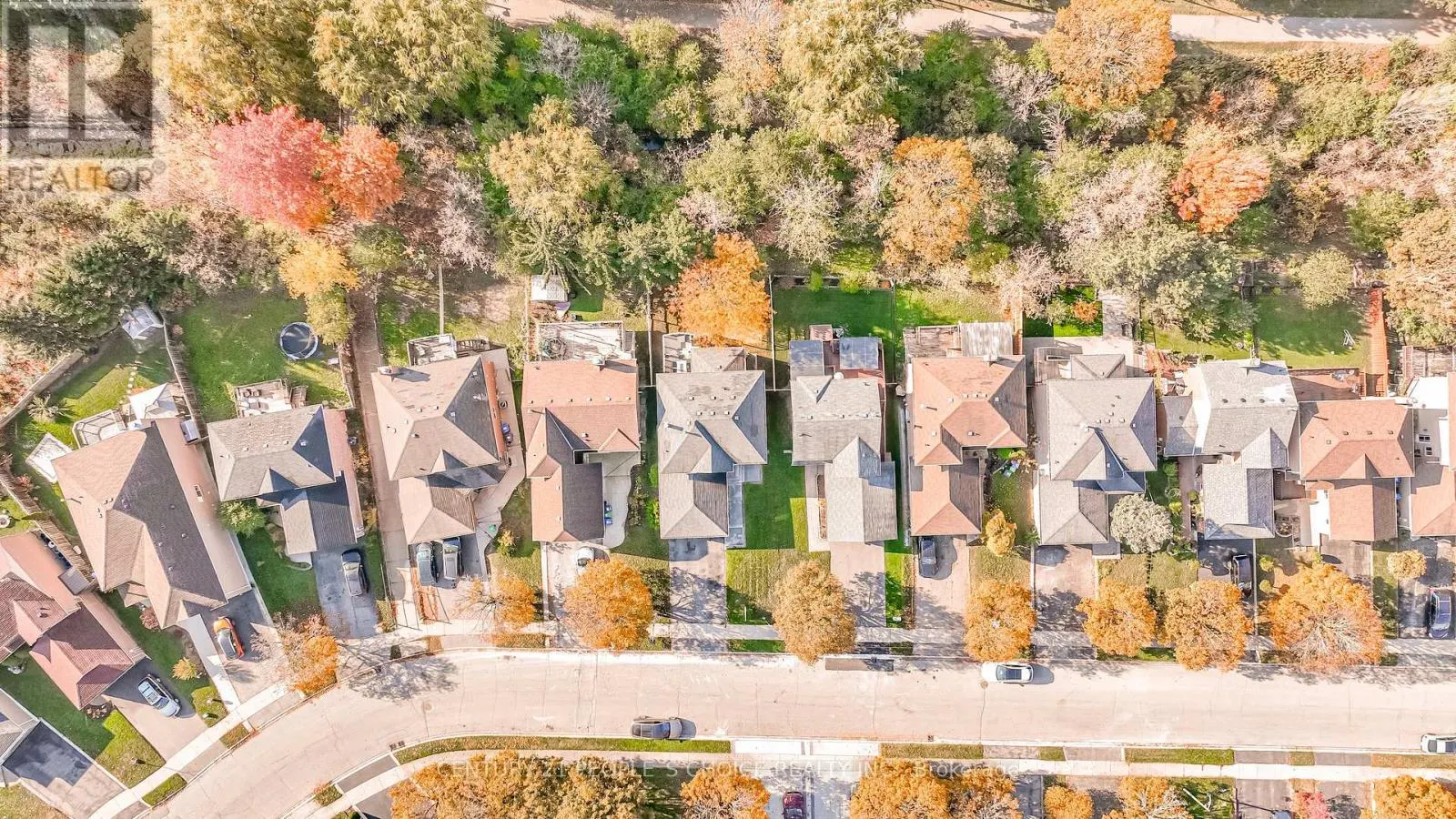 31 VIVIANS CRESCENT