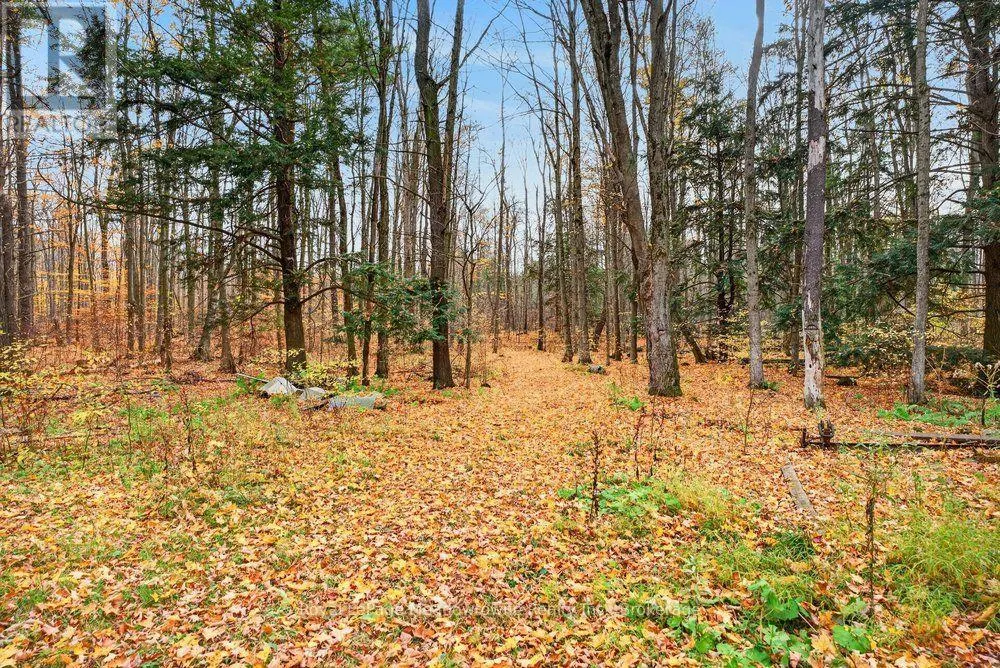 6628 17 SIDE ROAD