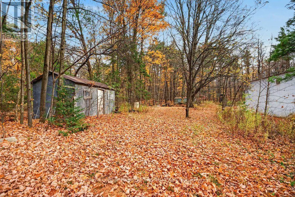 6628 17 SIDE ROAD