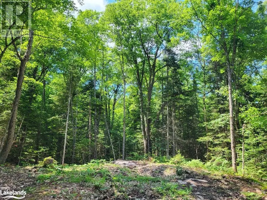 LOT 5 FAIRY FALLS ROAD