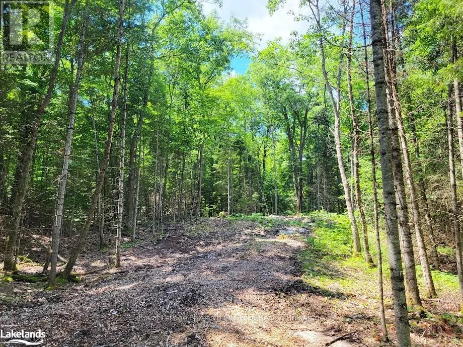 LOT 5 FAIRY FALLS ROAD