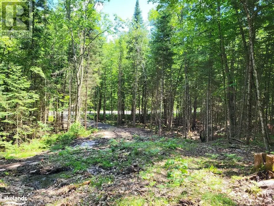 LOT 5 FAIRY FALLS ROAD