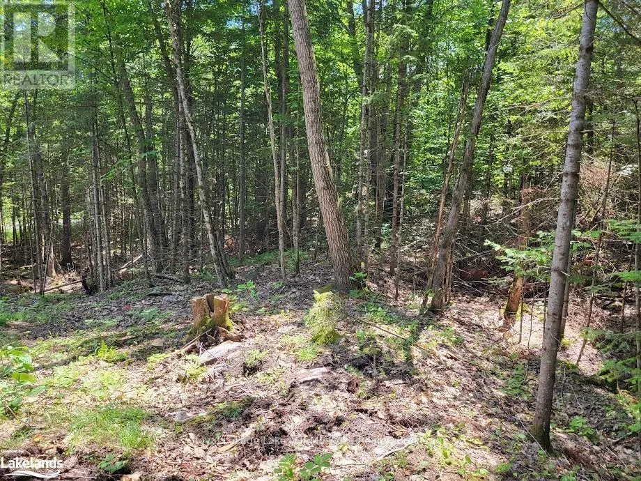 LOT 5 FAIRY FALLS ROAD