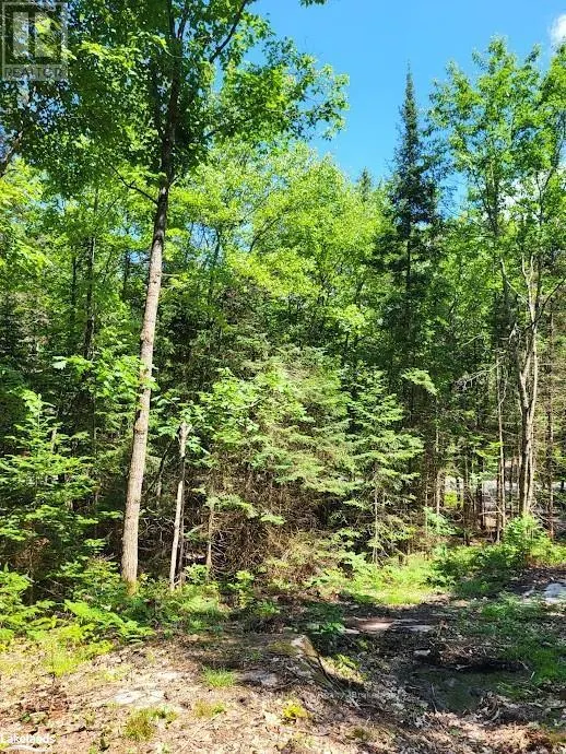 LOT 5 FAIRY FALLS ROAD