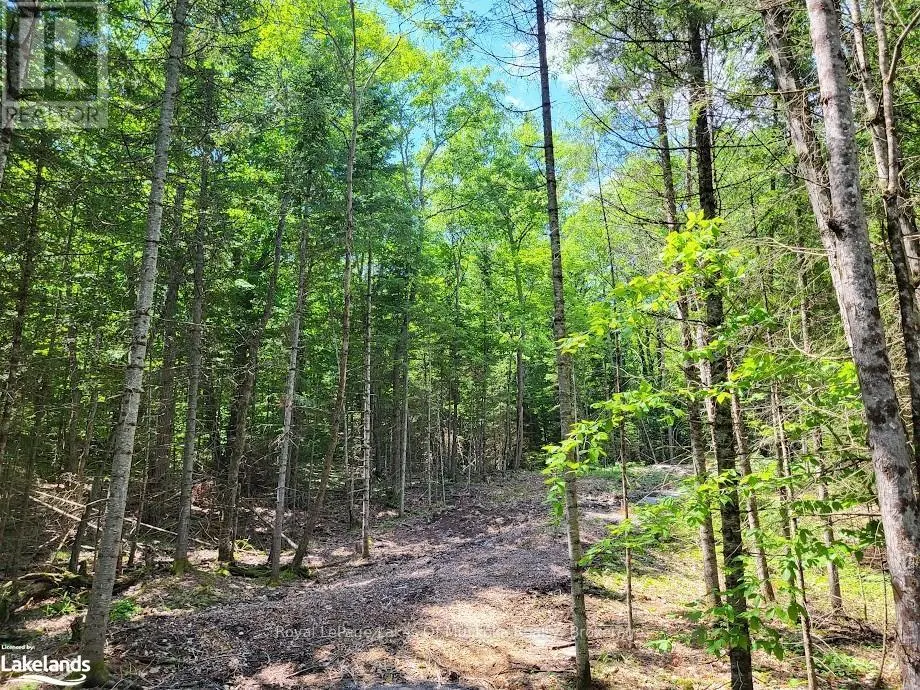LOT 5 FAIRY FALLS ROAD
