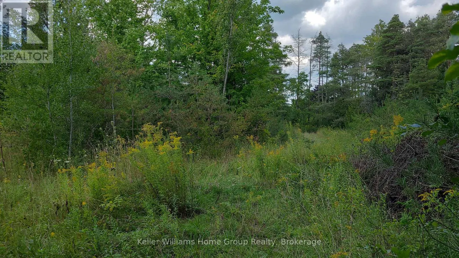4875 WELLINGTON RD 29
