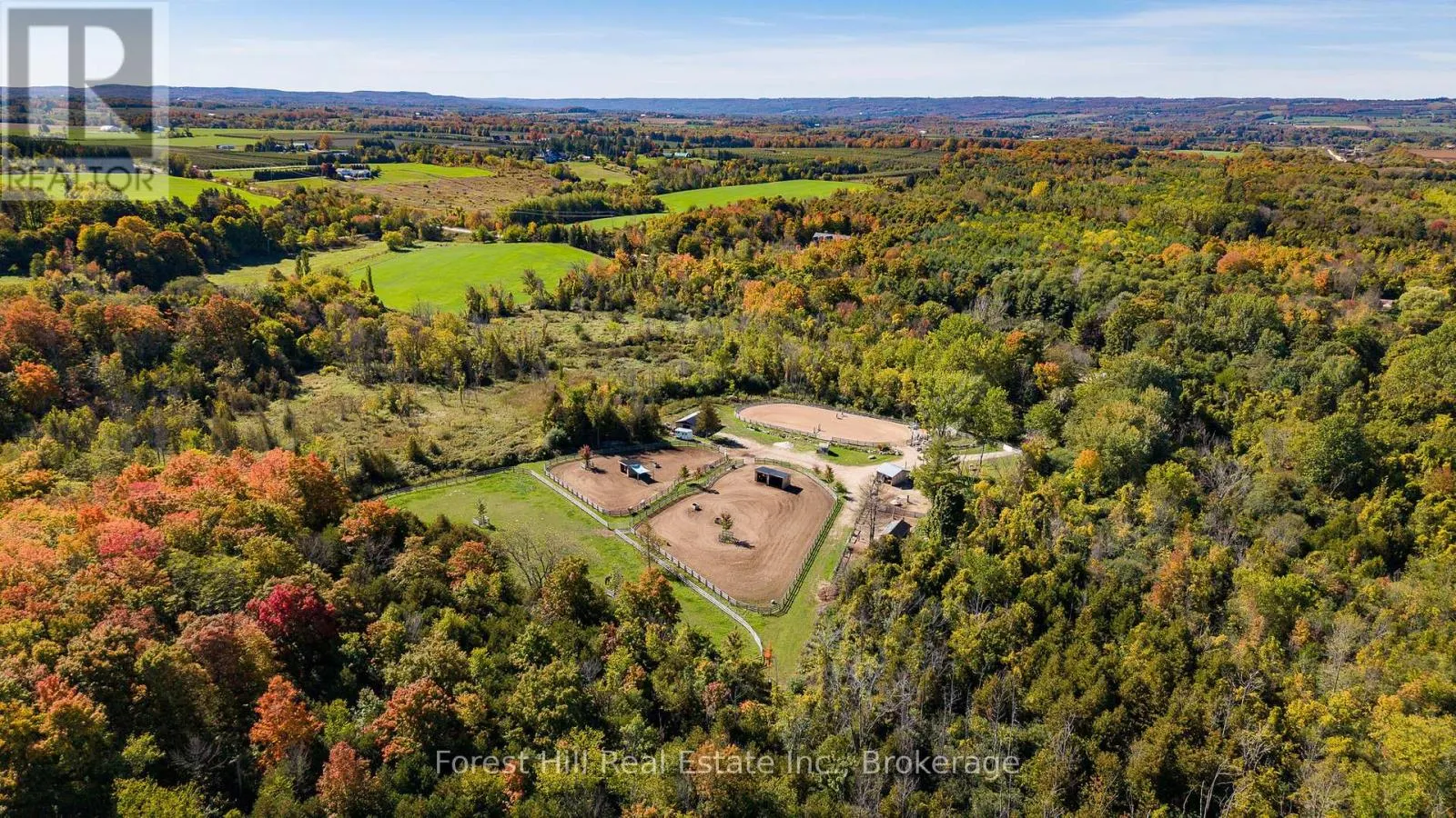 496629 GREY ROAD 2