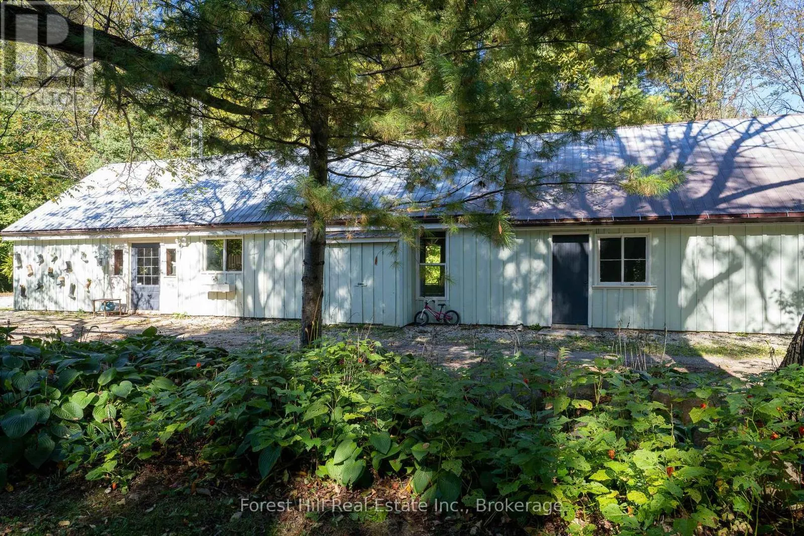 496629 GREY ROAD 2