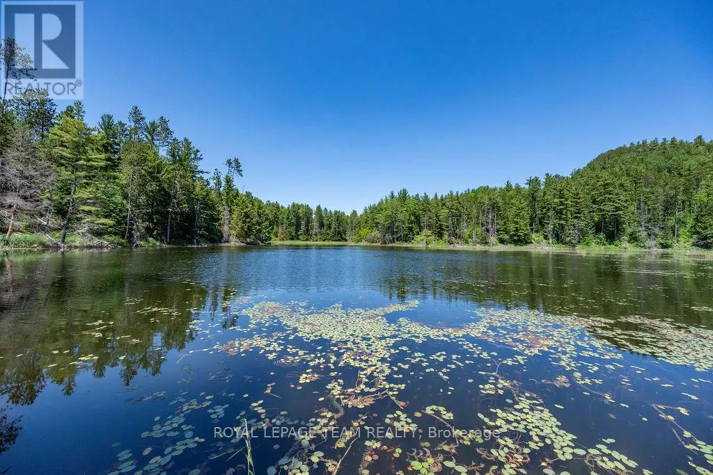 11462 OPEONGO ROAD