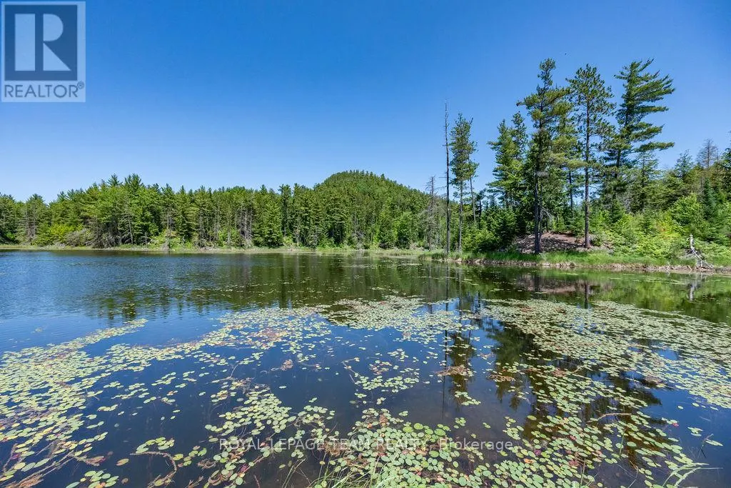 11462 OPEONGO ROAD