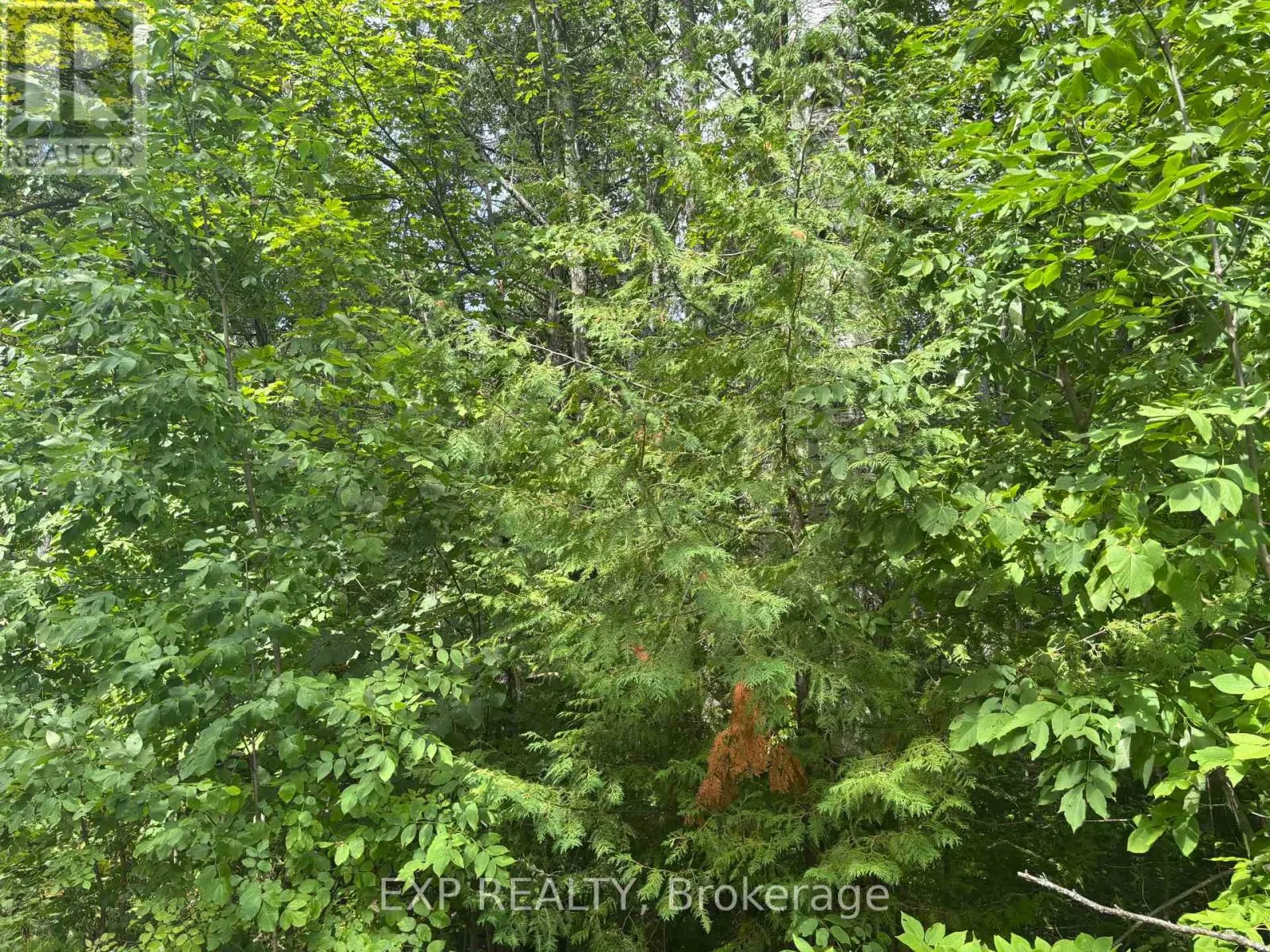 LOT A ARBOR VITAE ROAD