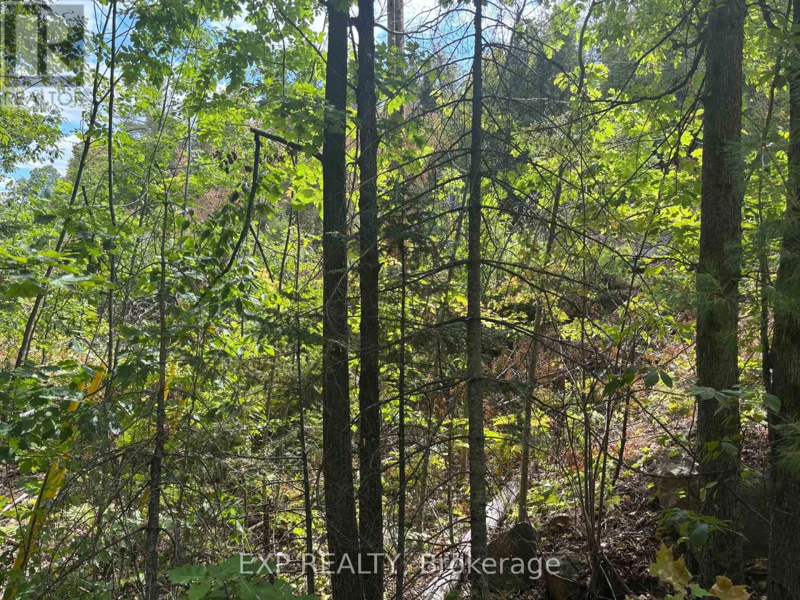 LOT A ARBOR VITAE ROAD