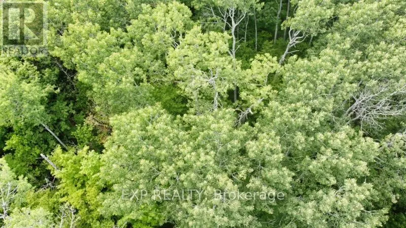 LOT A ARBOR VITAE ROAD