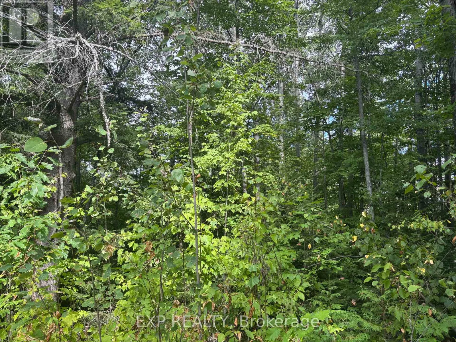 LOT A ARBOR VITAE ROAD