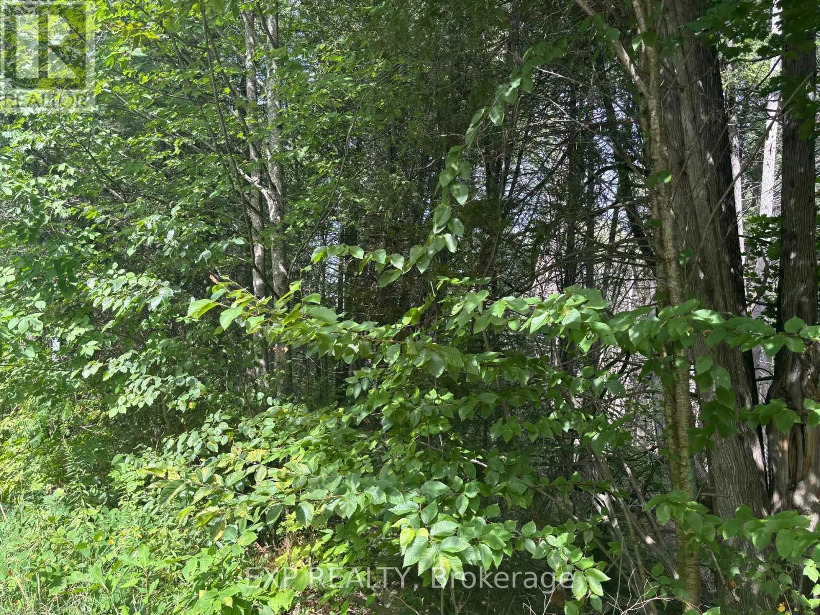 LOT A ARBOR VITAE ROAD