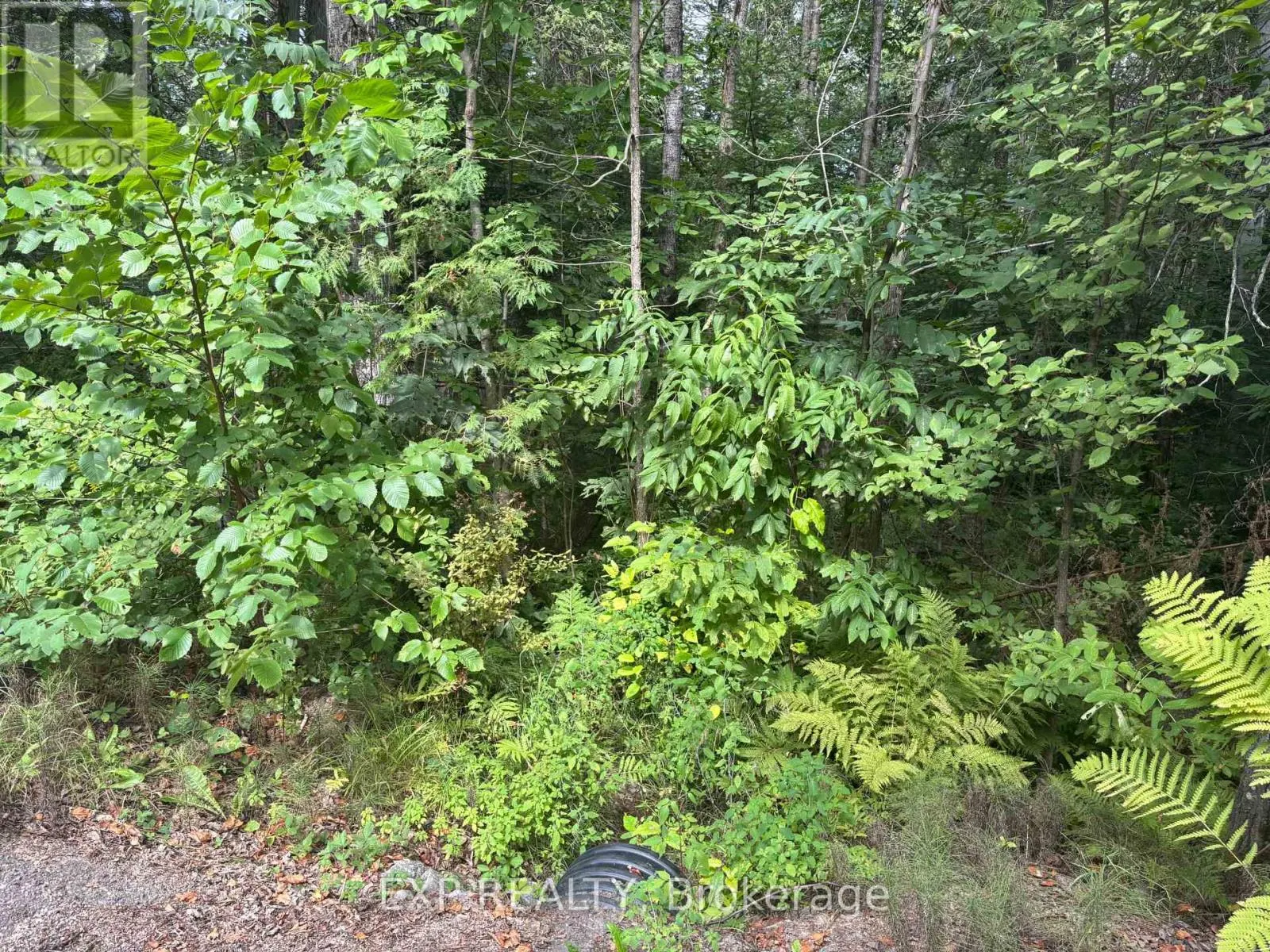 LOT A ARBOR VITAE ROAD