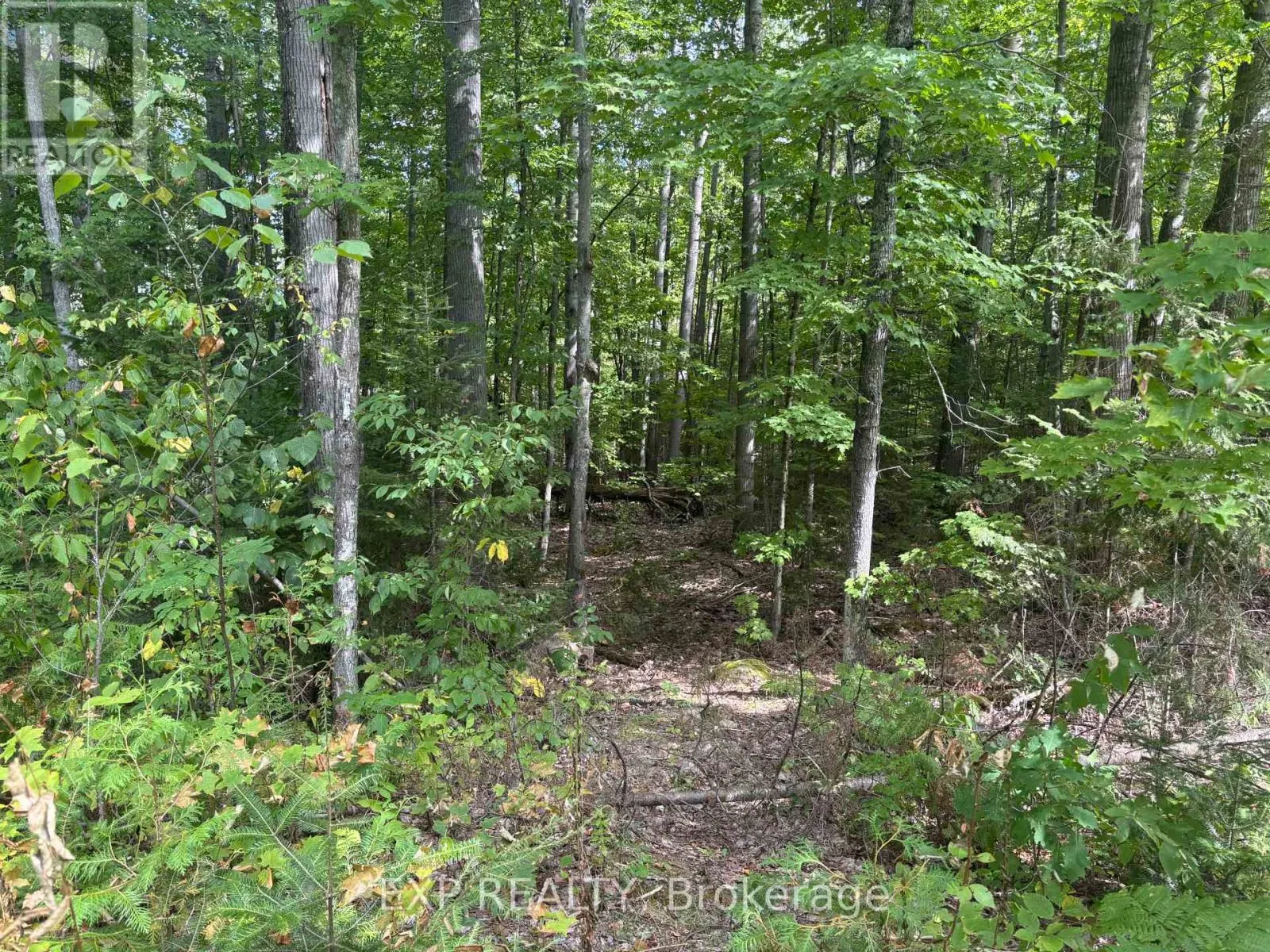 LOT A ARBOR VITAE ROAD