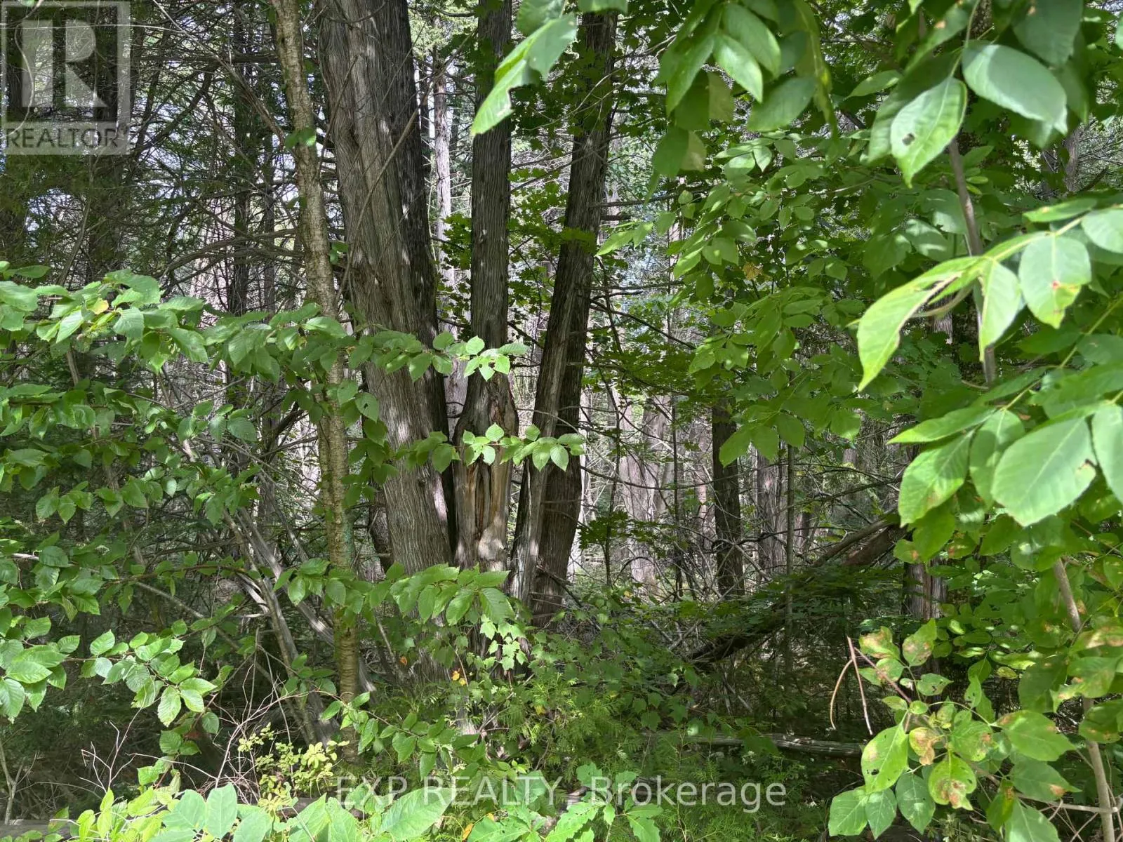 LOT A ARBOR VITAE ROAD