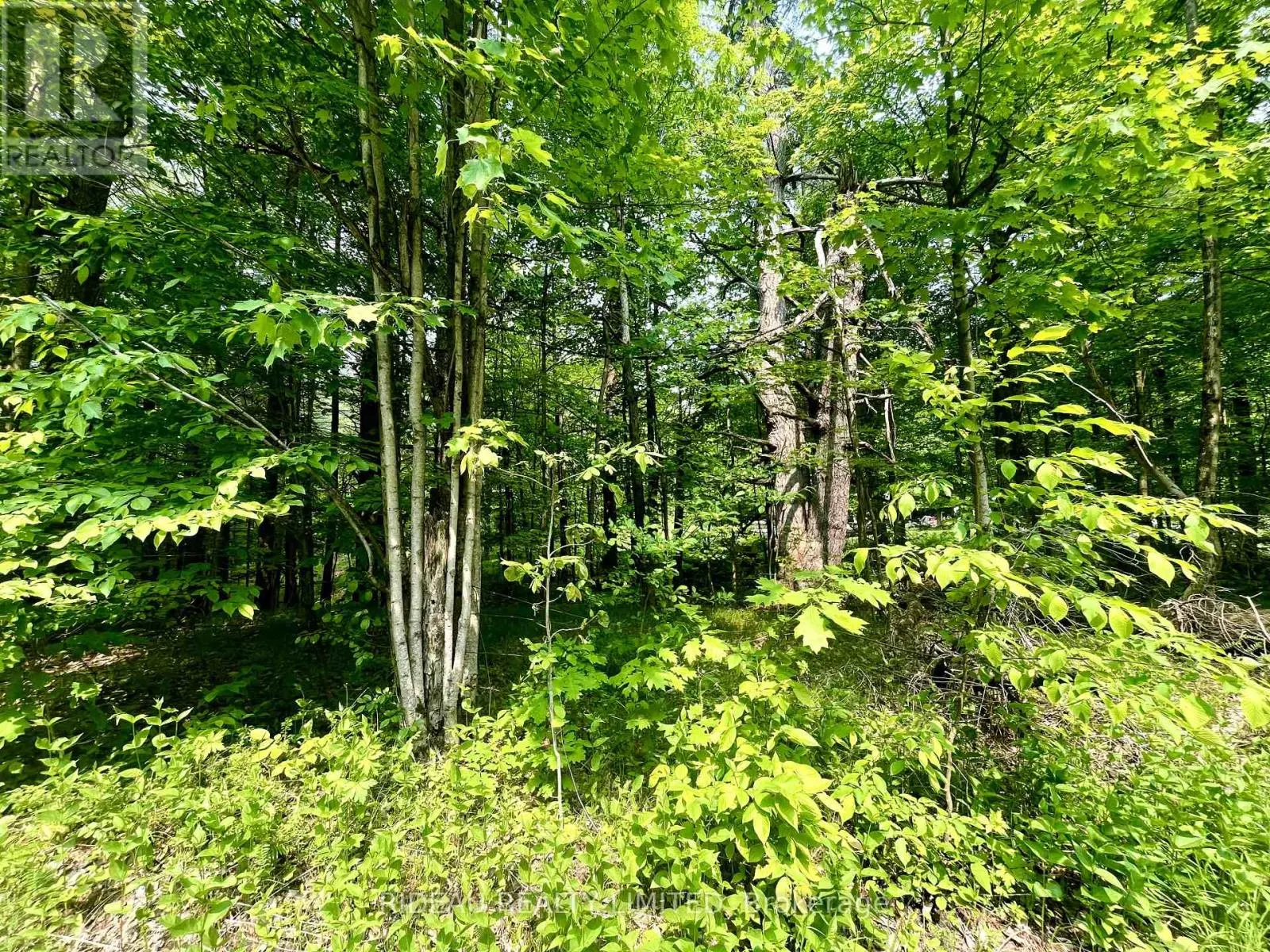 P7 CLEAR LAKE ROAD