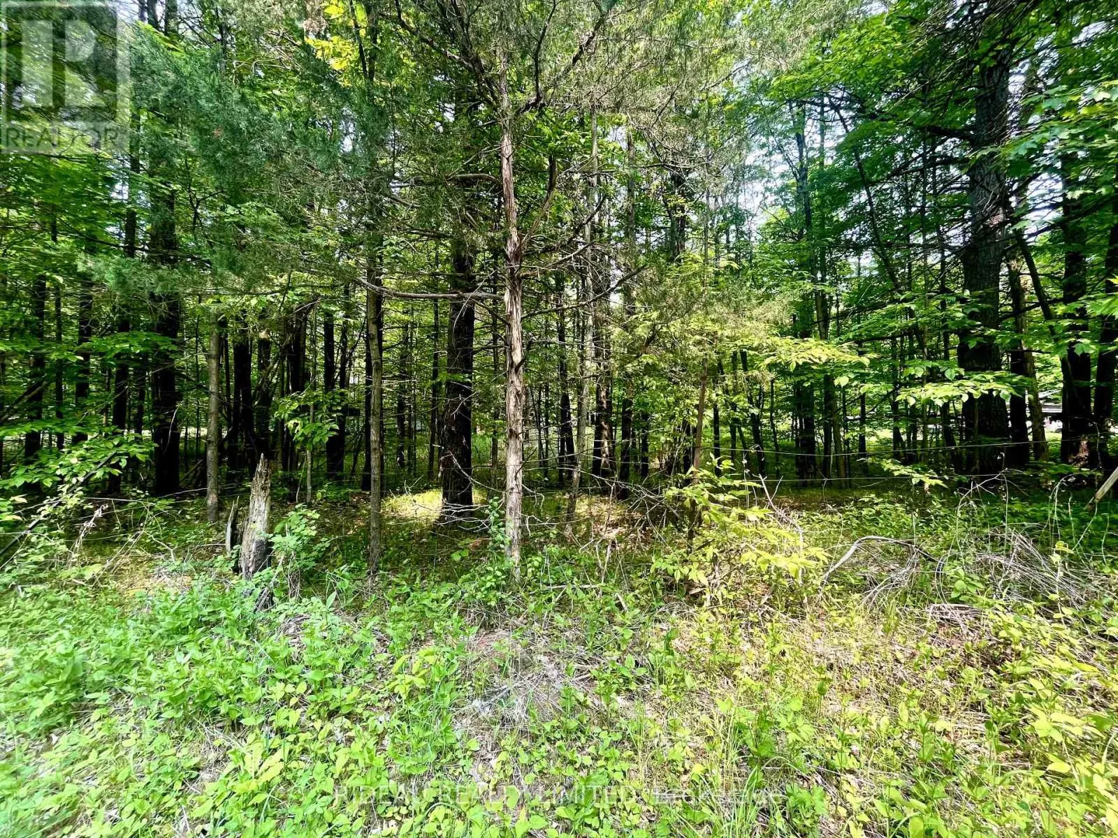 P7 CLEAR LAKE ROAD