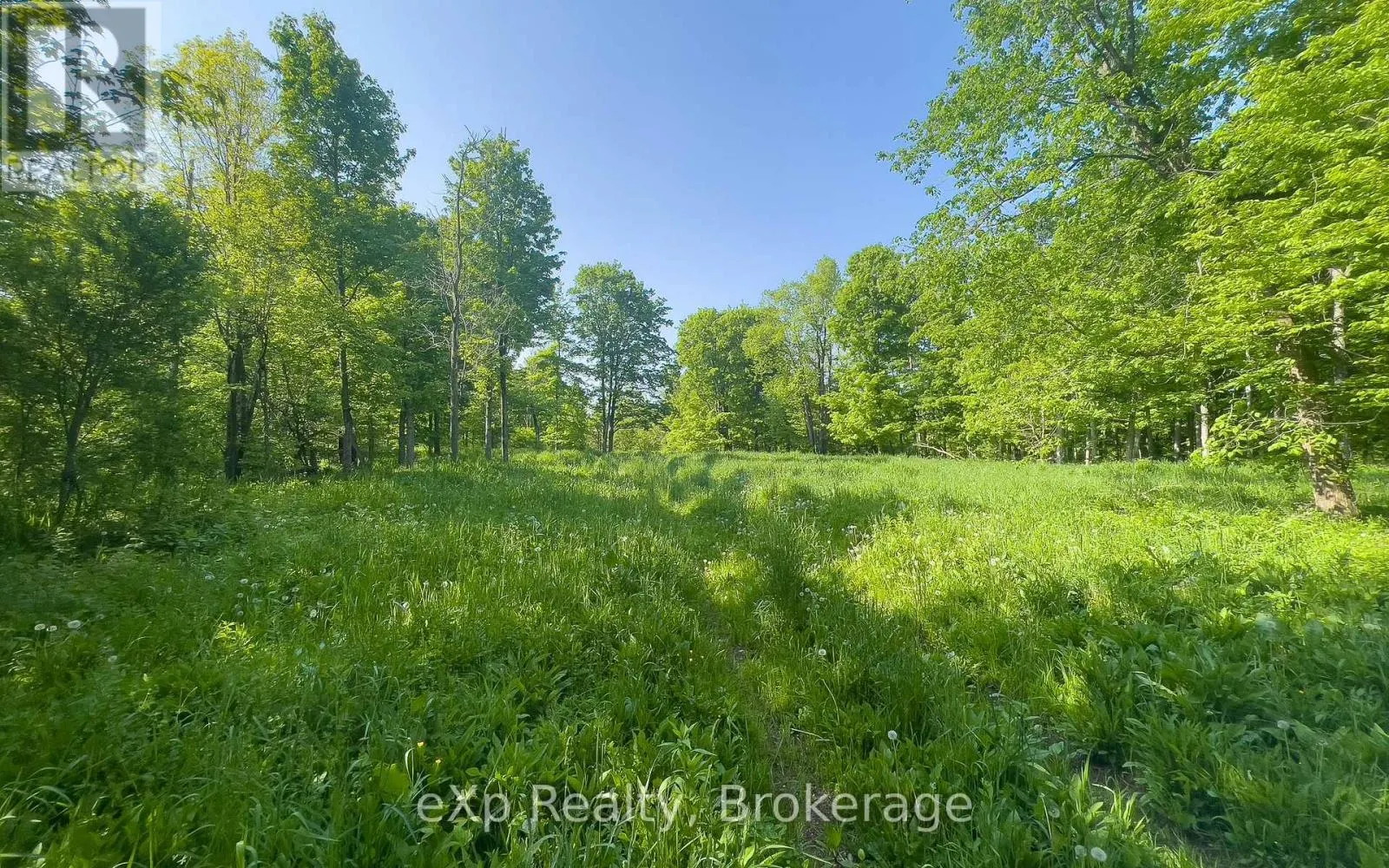 E 1/2 LT 29-30 CON 4; SIDEROAD 30