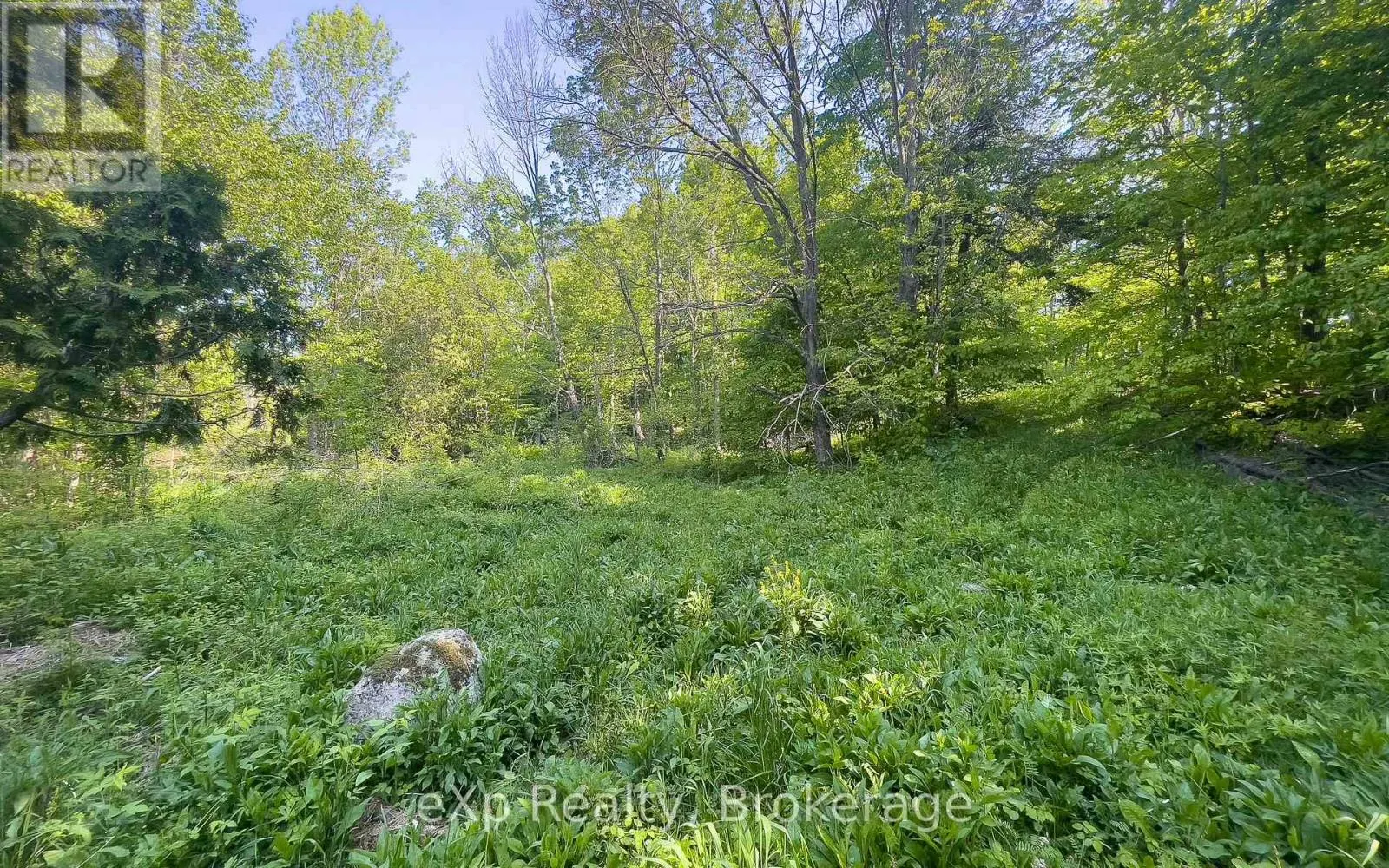 E 1/2 LT 29-30 CON 4; SIDEROAD 30